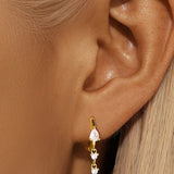 Celine earrings